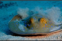 20241023-Brayka-Bay-24