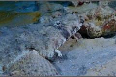 20241024-Brayka-Bay-78