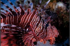 20241024-Brayka-Bay-89