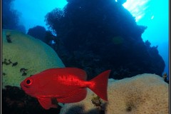 20241025-Brayka-Bay-108