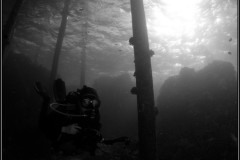 20241025-Brayka-Bay-125