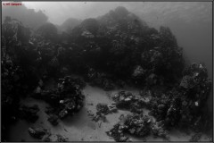 20241025-Brayka-Bay-20