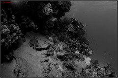 20241025-Brayka-Bay-21