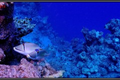 20241025-Brayka-Bay-32