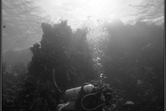 20241025-Brayka-Bay-38