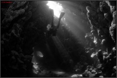 20241025-Brayka-Bay-66