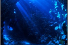 20241025-Brayka-Bay-68
