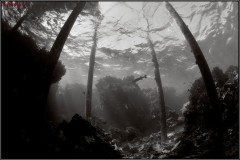 20241025-Brayka-Bay-69