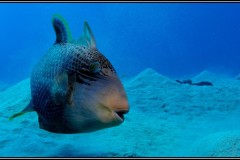 20241026-Brayka-Bay-35