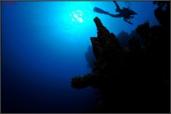 20241026-Brayka-Bay-39