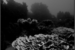 20241026-Brayka-Bay-45