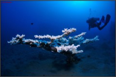 20241026-Brayka-Bay-60