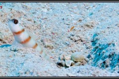 20241027-Brayka-Bay-52