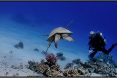 20241028-Tondoba-97